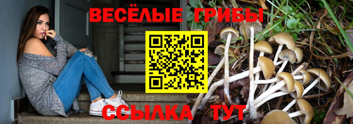 Псилоцибиновые грибы Psilocybine cubensis  Галлюциногенные грибы Cubensis  Глазов  Вход с VPN 